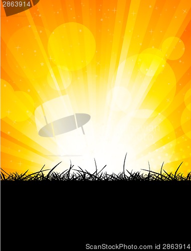 Image of Bright orange background