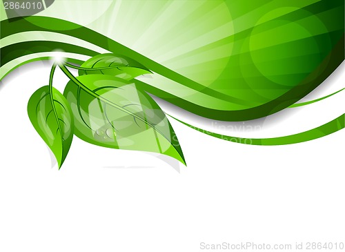 Image of Background with green leaves