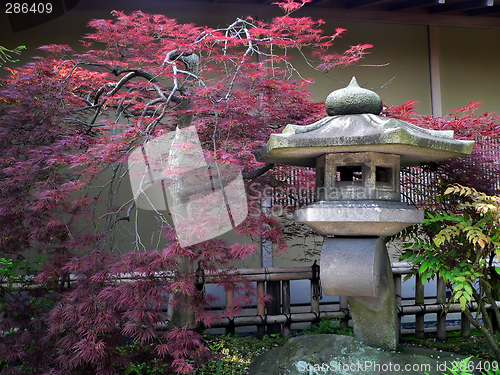 Image of japanese garden