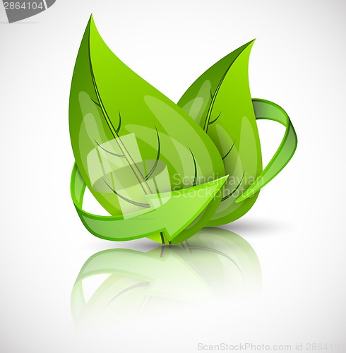 Image of Leaves with arrows
