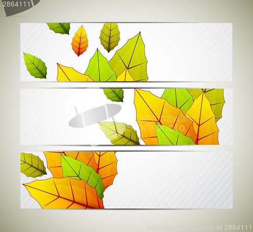 Image of Set of banners with leaves