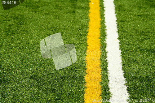 Image of Artificial turf