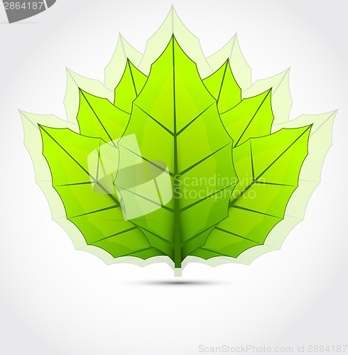 Image of Background with green leaves
