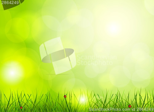 Image of Bright green background