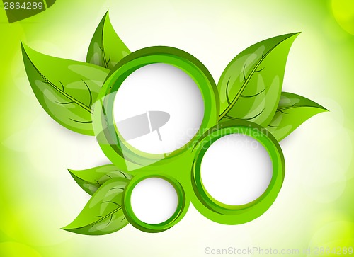 Image of Background with circles and leaves