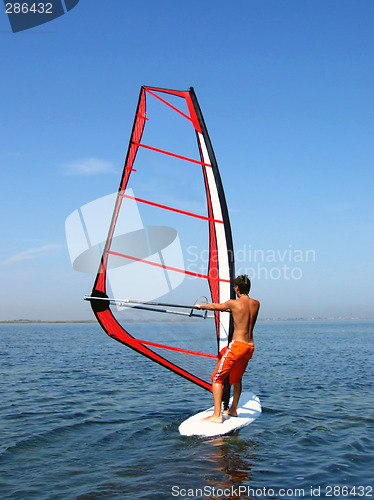 Image of Windsurfer on waves of a gulf in the afternoon