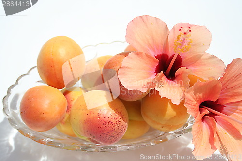 Image of Apricots 