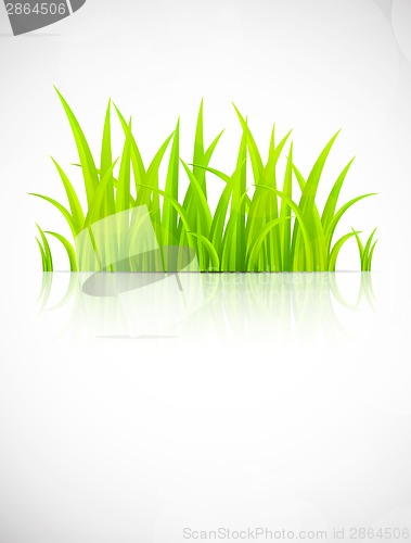 Image of Background with grass