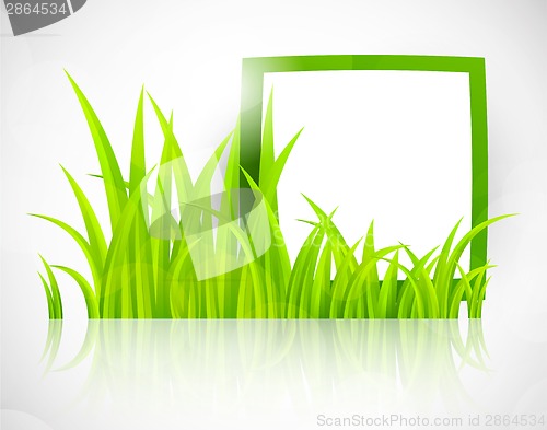 Image of Green frame in grass