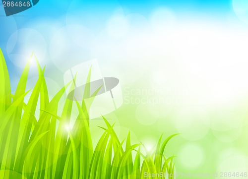 Image of Spring background