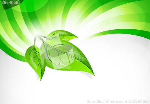 Image of Spring background