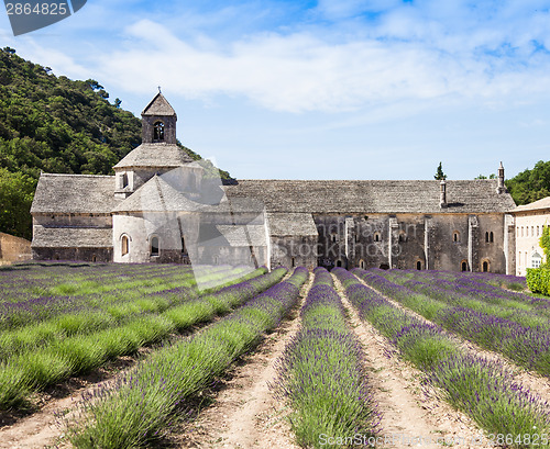 Image of Lavander field