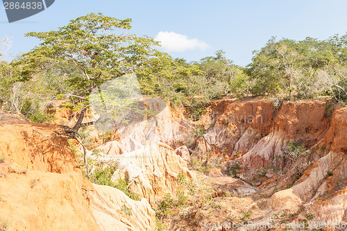 Image of Marafa Canyon - Kenya