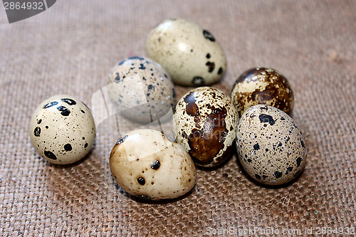 Image of eggs of the quail on the fabric with sacking