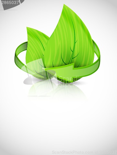 Image of Green leaves