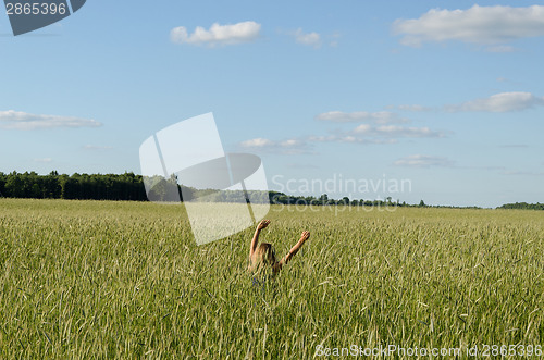 Image of Farmer woman girl swing with cereal wheat plants 