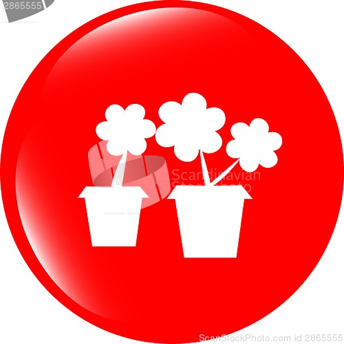 Image of Flowerpot with plant - web icon isolated