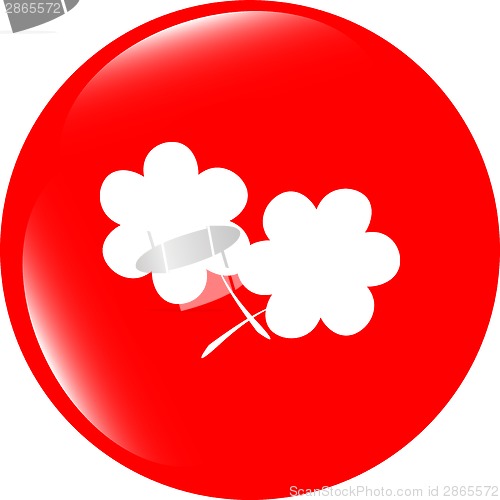 Image of Flower app web glossy icon button