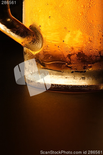 Image of The cold beer