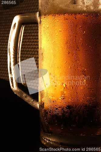 Image of The cold beer