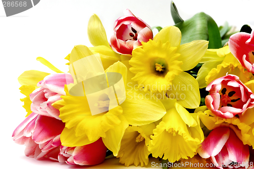 Image of Spring flowers