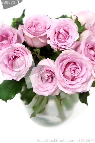 Image of Pink roses bouquet