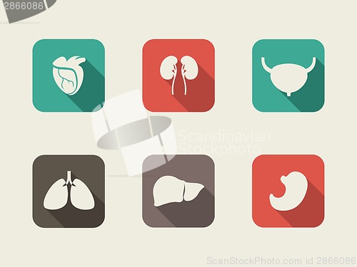 Image of Medical Infographic Element