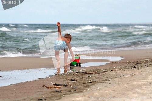 Image of At the beach