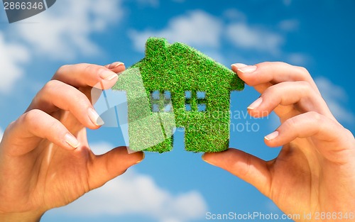 Image of Grass home - Eco Concept
