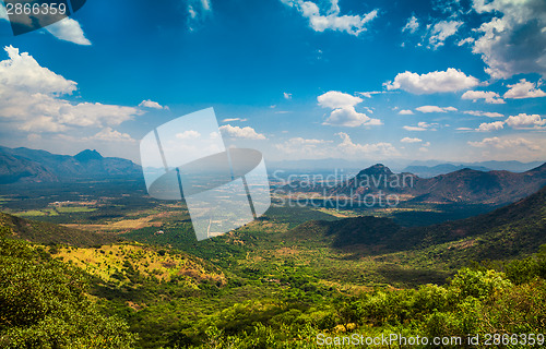 Image of Tea plantations in India