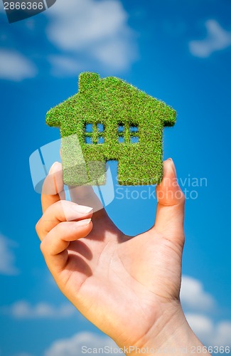 Image of Grass home - Eco Concept