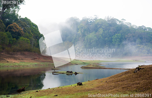 Image of India Kumily, Kerala, India - National park Periyar Wildlife San