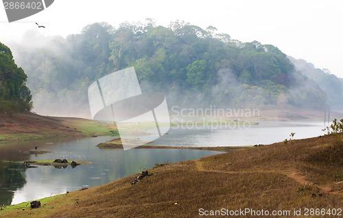 Image of India Kumily, Kerala, India - National park Periyar Wildlife San