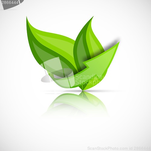 Image of Green leaves with arrow