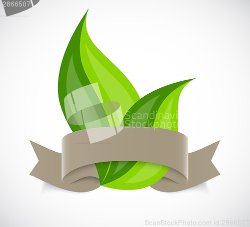 Image of Leaves with ribbons