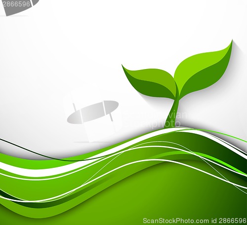 Image of Abstract background in green color with plant