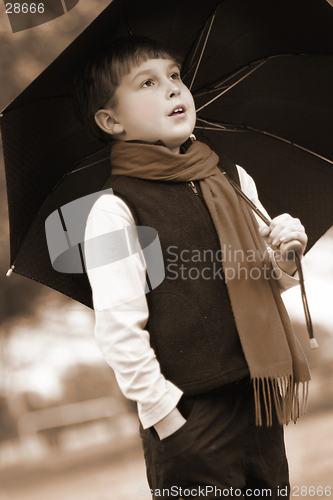 Image of Standing in the rain