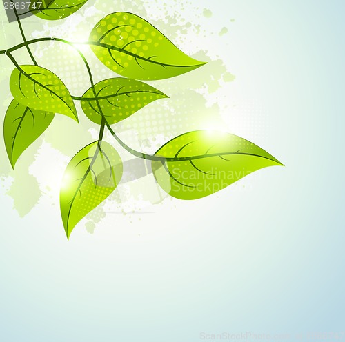 Image of Spring background