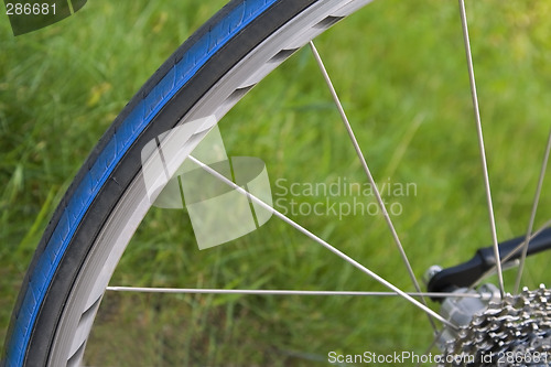 Image of Bicycle wheel