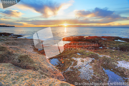 Image of Red and green algae covered rocks at sunrise  Coogee, Sydney Aus