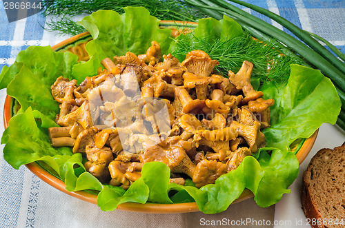 Image of Fried mushrooms of chanterelle on a dish together with lettuce l