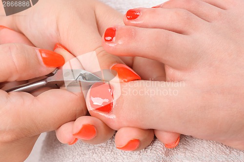 Image of pedicure process macro closeup