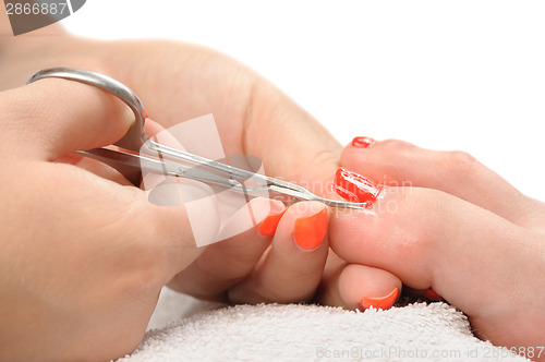 Image of pedicure process macro closeup