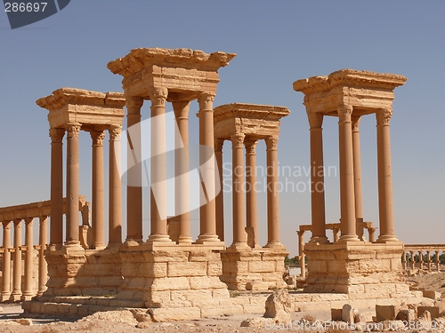 Image of Ancient columns, archaeological site, UNESCO heritage, ruins, Palmyra, Syria