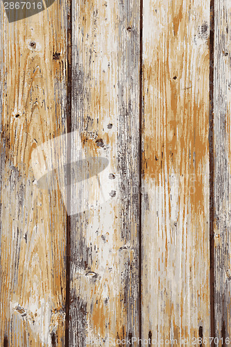 Image of Grunge color wooden wall pattern