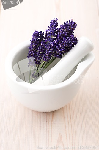 Image of Lavender flowers in a mortar