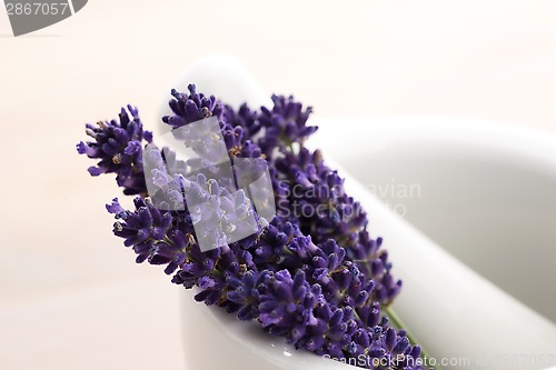 Image of Lavender flowers in a mortar