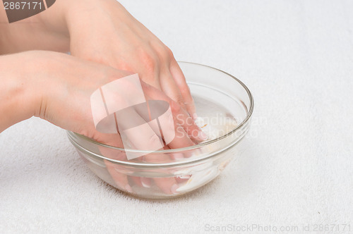Image of Hands in water with seashells