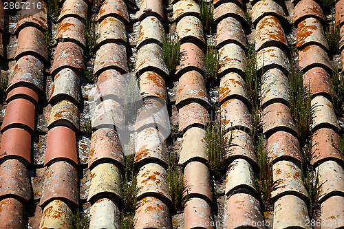 Image of tile roof  grassy