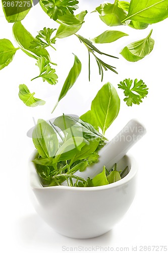 Image of green herbs falling into mortar and pestle